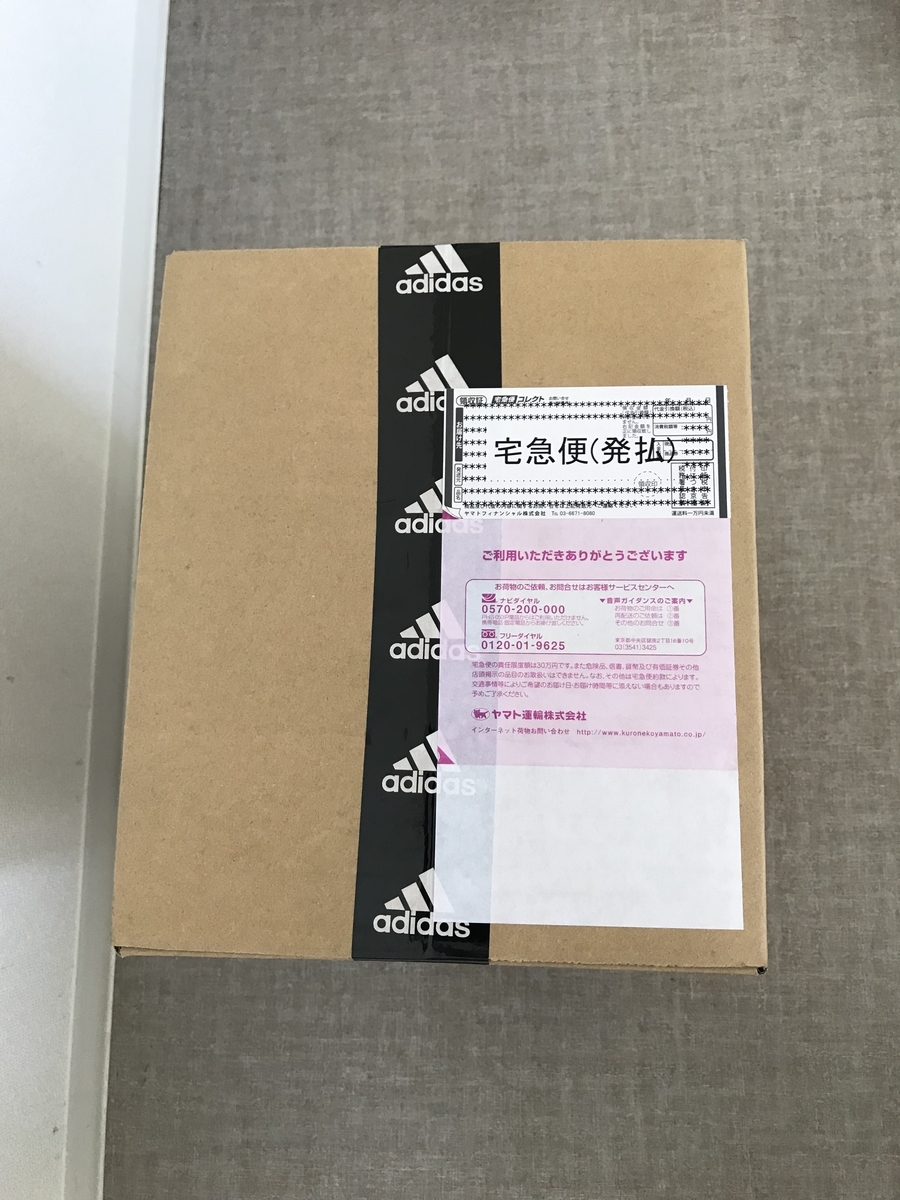 f:id:saitoh_naoki:20190530130401j:plain