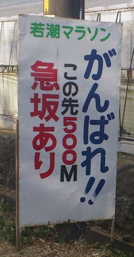 f:id:saitoh_naoki:20200131191133j:plain f:id:saitoh_naoki:20200131191133j:plain