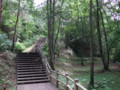 散歩道（中尊寺⇒毛越寺）