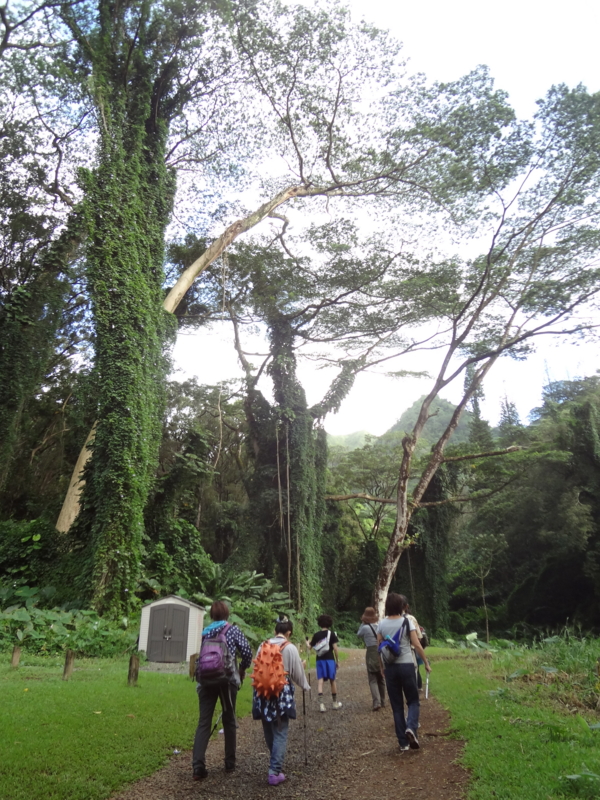 f:id:saitojosanin:20121030035816j:image:w640 f:id:saitojosanin:20121030035816j:image:w640