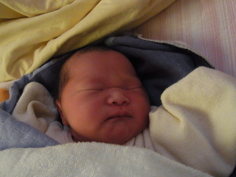 f:id:saitojosanin:20131205145005j:image