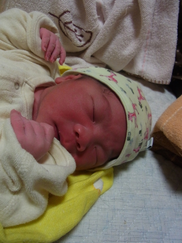 f:id:saitojosanin:20131215164034j:image