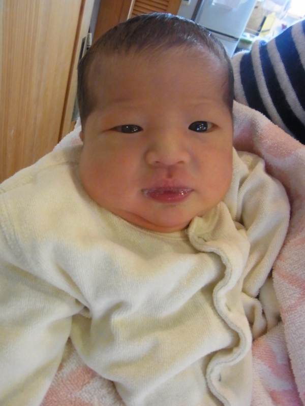 f:id:saitojosanin:20140228162037j:image:w300