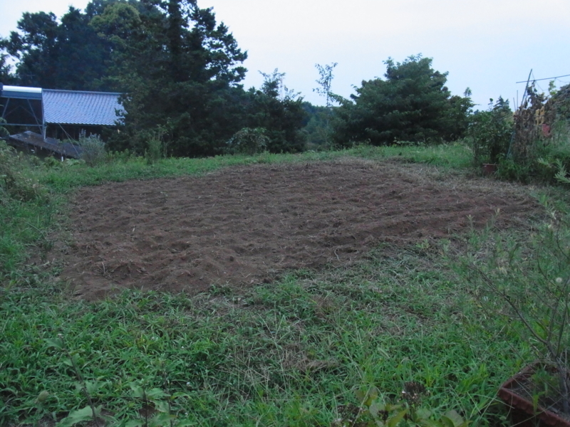 f:id:saitojosanin:20140825181629j:image