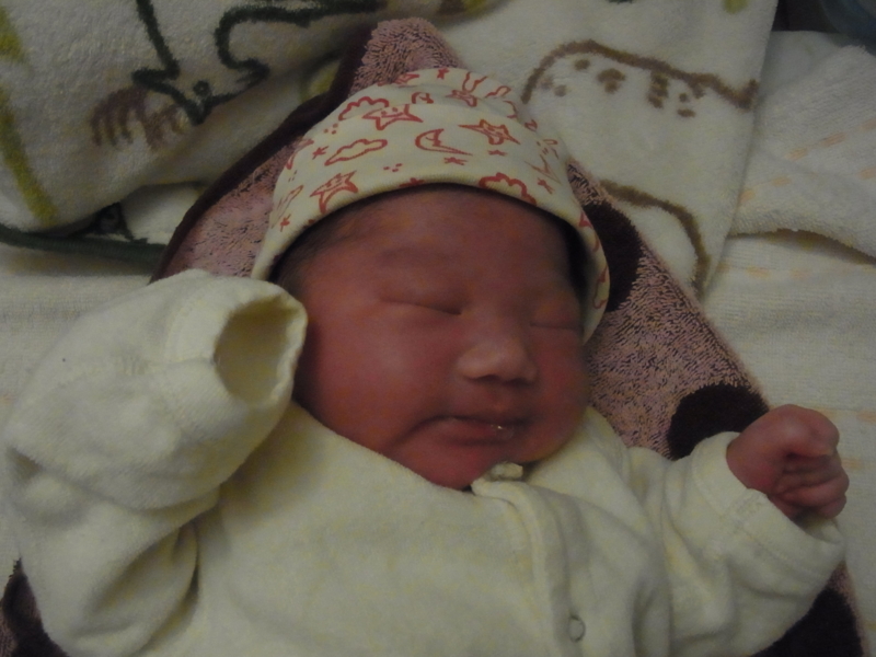 f:id:saitojosanin:20141121220546j:image