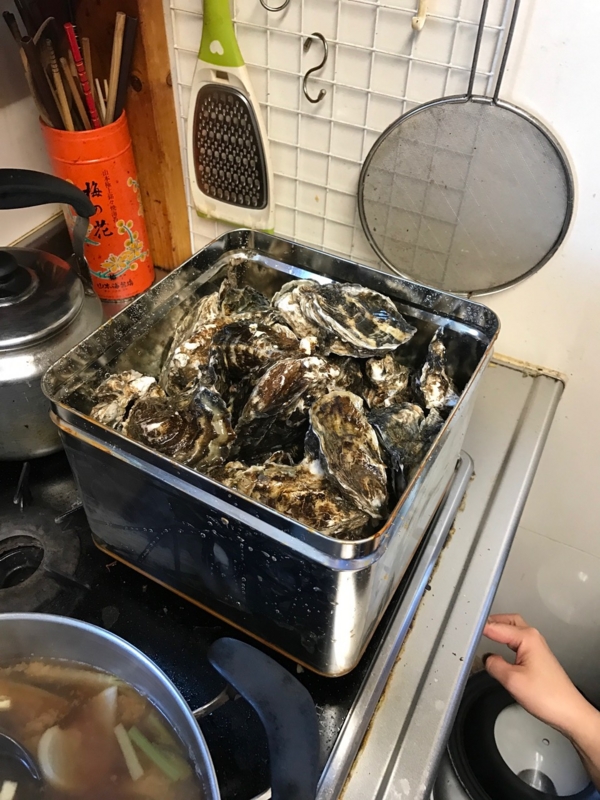 f:id:saitojosanin:20161217165322j:image