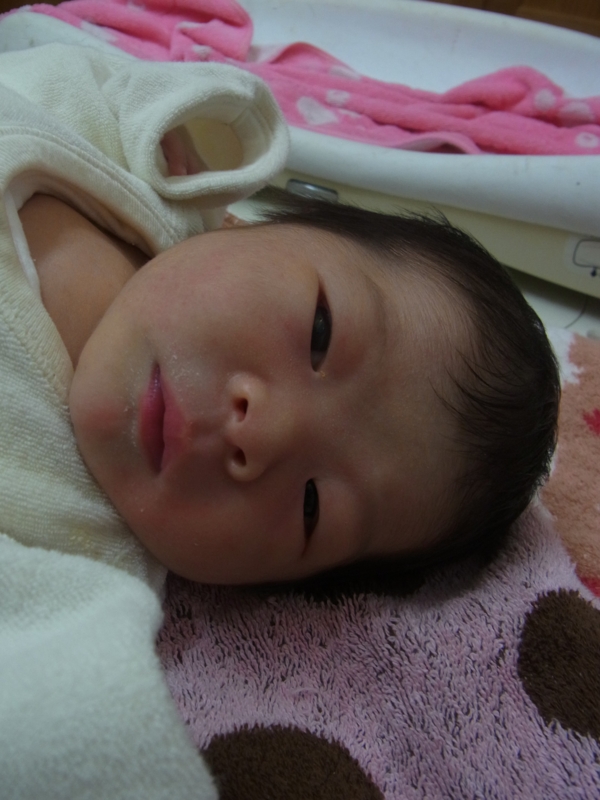 f:id:saitojosanin:20161227215629j:image