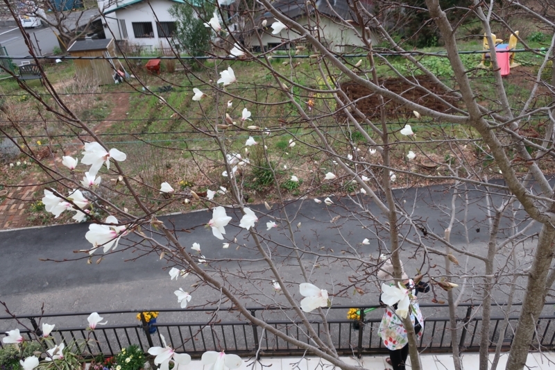 f:id:saitojosanin:20180319214443j:image