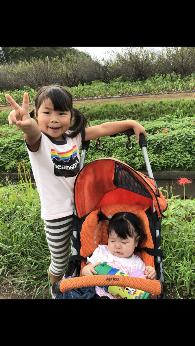 f:id:saitojosanin:20190924224851p:plain