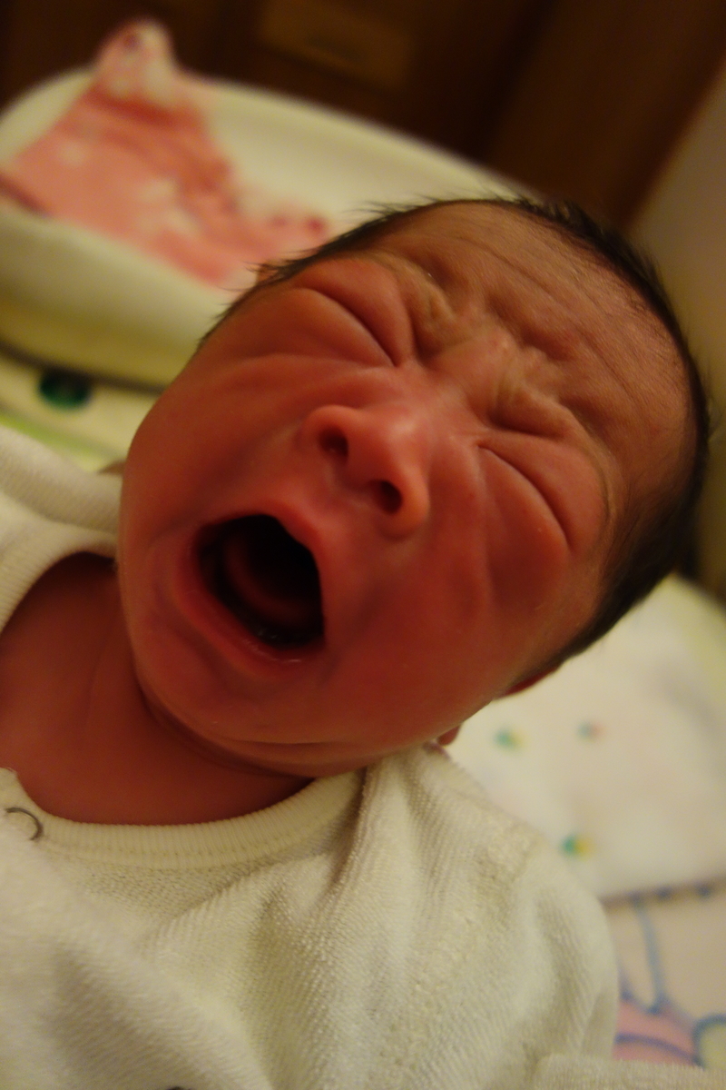 f:id:saitojosanin:20200511230236j:plain