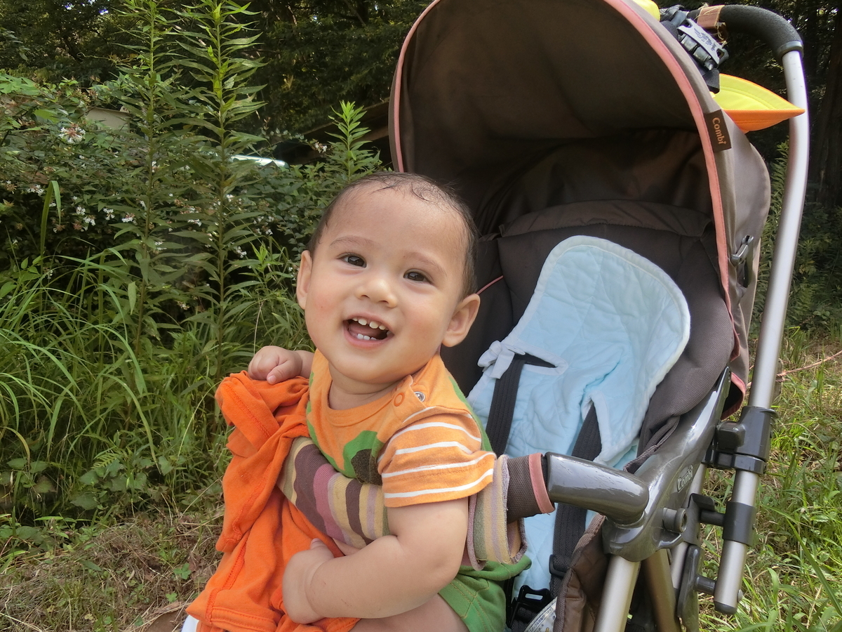 f:id:saitojosanin:20200810214239j:plain