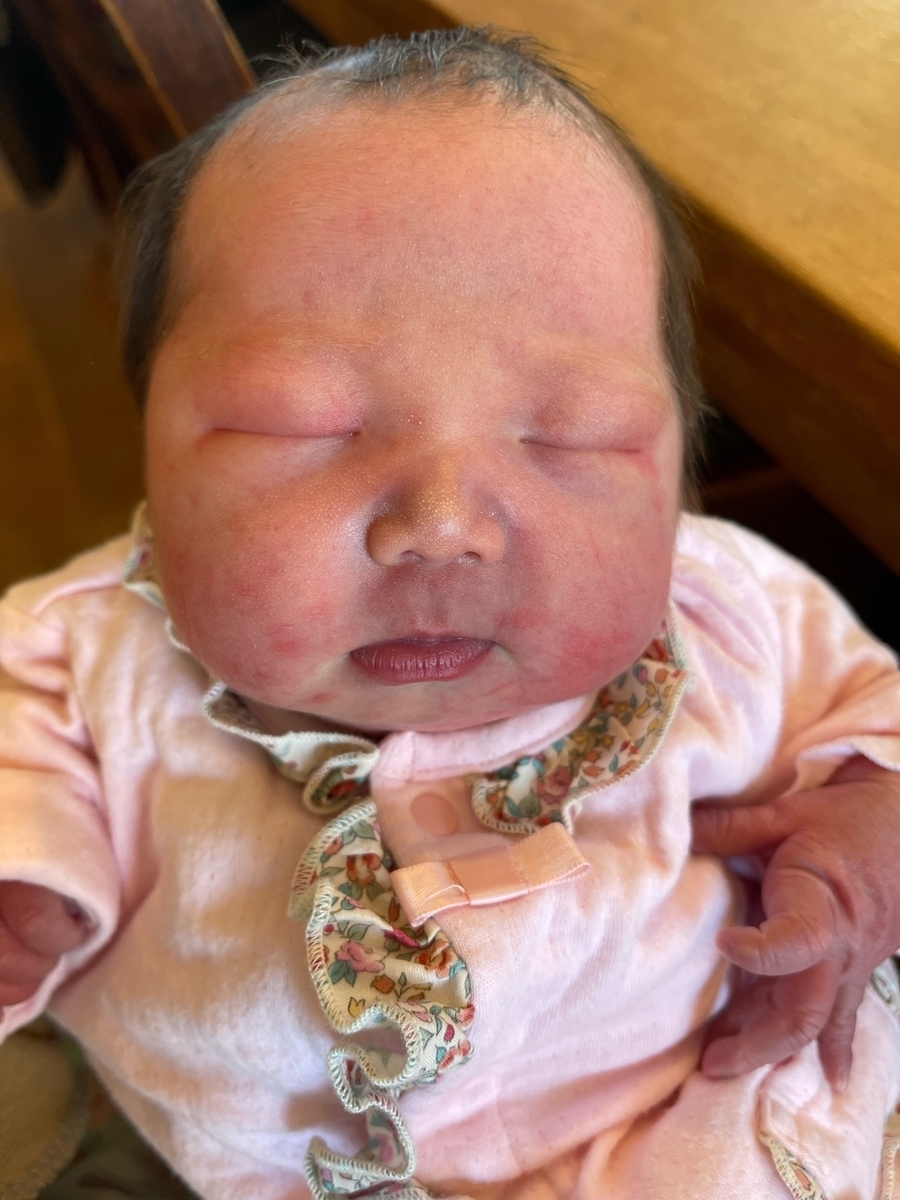 f:id:saitojosanin:20211203182610j:plain