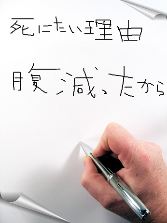 f:id:saitokenichi:20171103110950j:plain