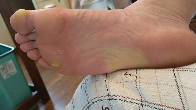 f:id:saitokenichi:20210816162715j:plain