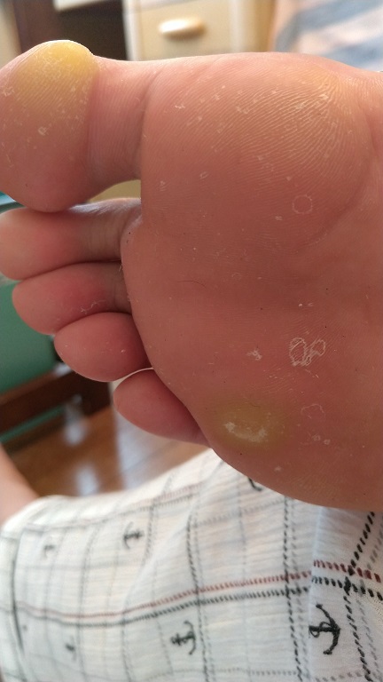 f:id:saitokenichi:20210816162736j:plain