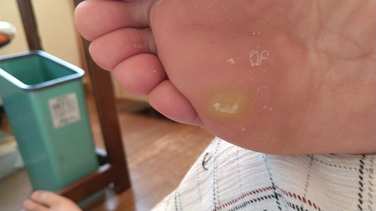 f:id:saitokenichi:20210816162758j:plain