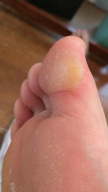 f:id:saitokenichi:20210816162839j:plain