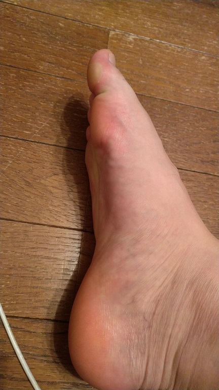 f:id:saitokenichi:20210816173034j:plain