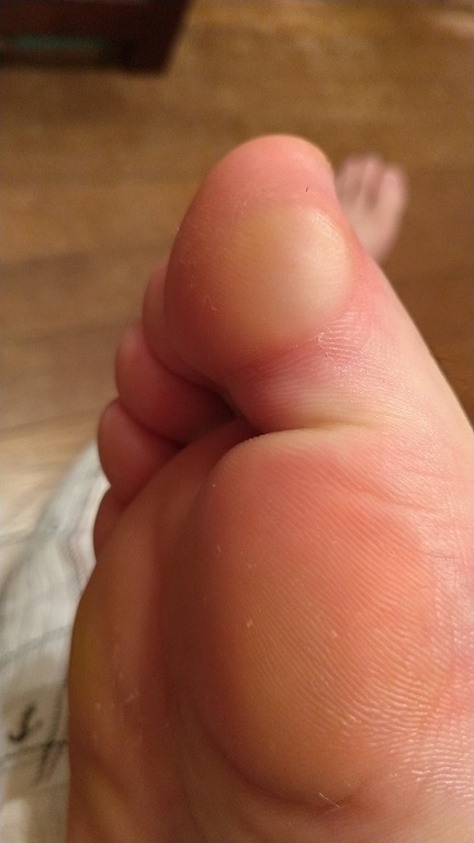 f:id:saitokenichi:20210816173146j:plain