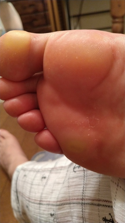 f:id:saitokenichi:20210816173232j:plain