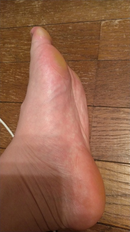 f:id:saitokenichi:20210816173257j:plain