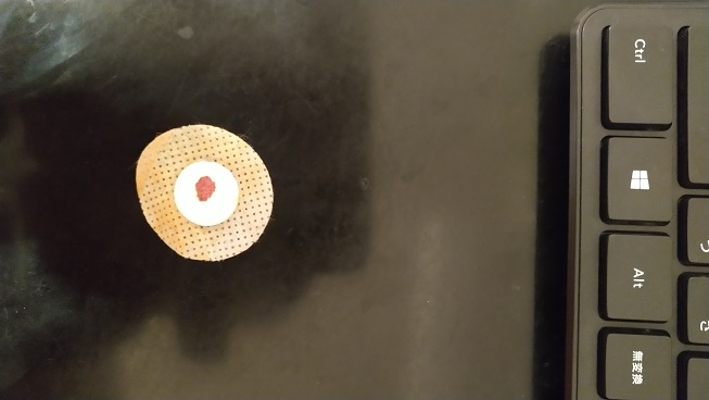 f:id:saitokenichi:20211009130419j:plain