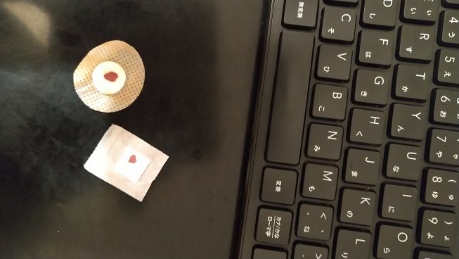 f:id:saitokenichi:20211009130556j:plain