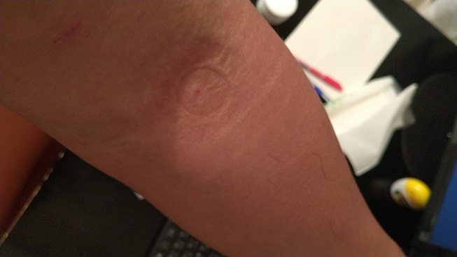 f:id:saitokenichi:20211009130614j:plain