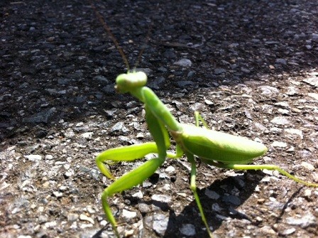 f:id:saitokoichi:20111001111756j:image