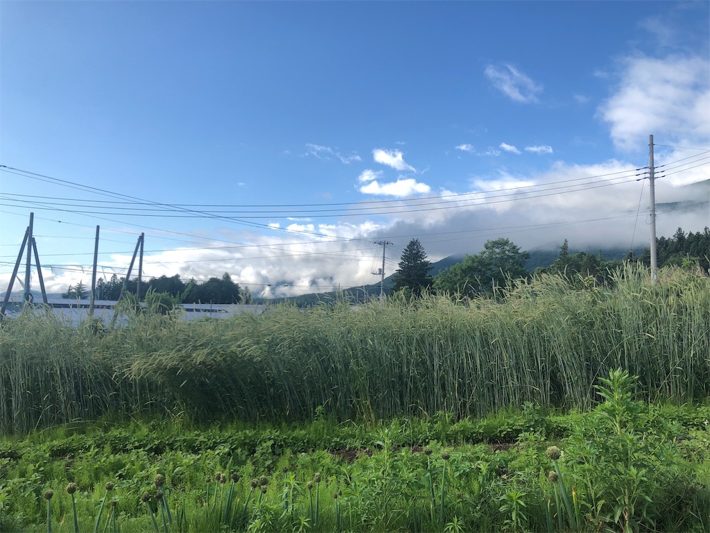 f:id:saitomanten:20190611194019j:image f:id:saitomanten:20190611194019j:image