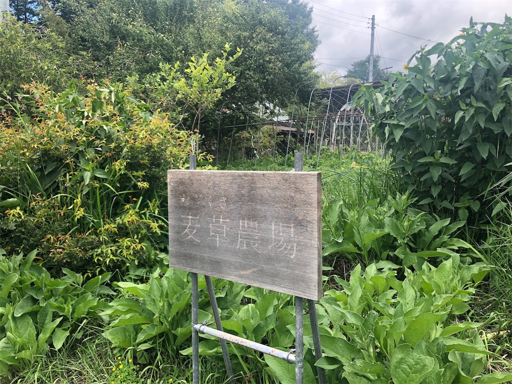 f:id:saitomanten:20190617211202j:image f:id:saitomanten:20190617211202j:image