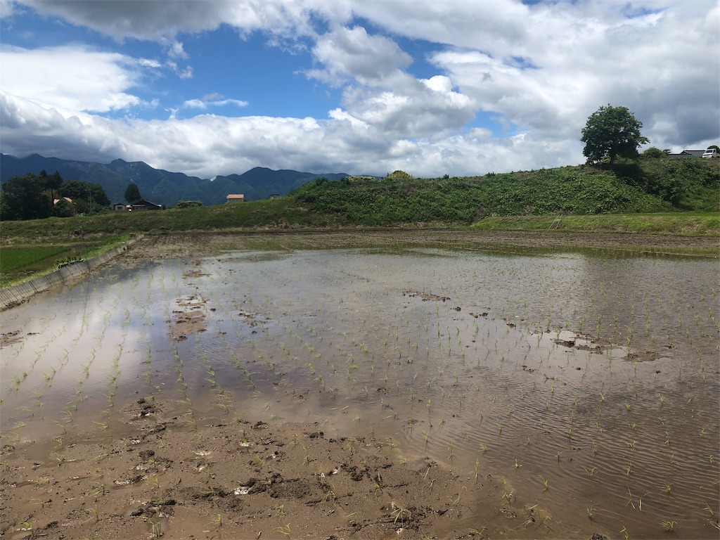 f:id:saitomanten:20190617211554j:image f:id:saitomanten:20190617211554j:image