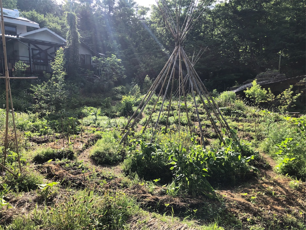 f:id:saitomanten:20190618172316j:image f:id:saitomanten:20190618172316j:image