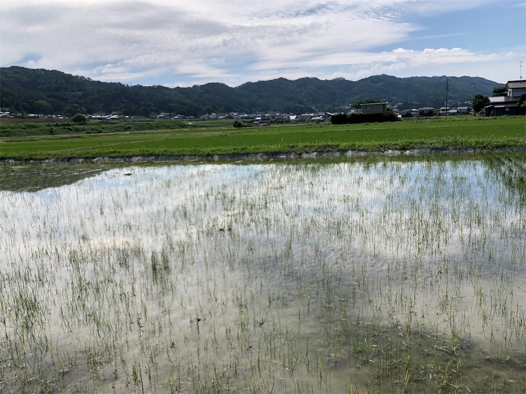 f:id:saitomanten:20190618203436j:image f:id:saitomanten:20190618203436j:image