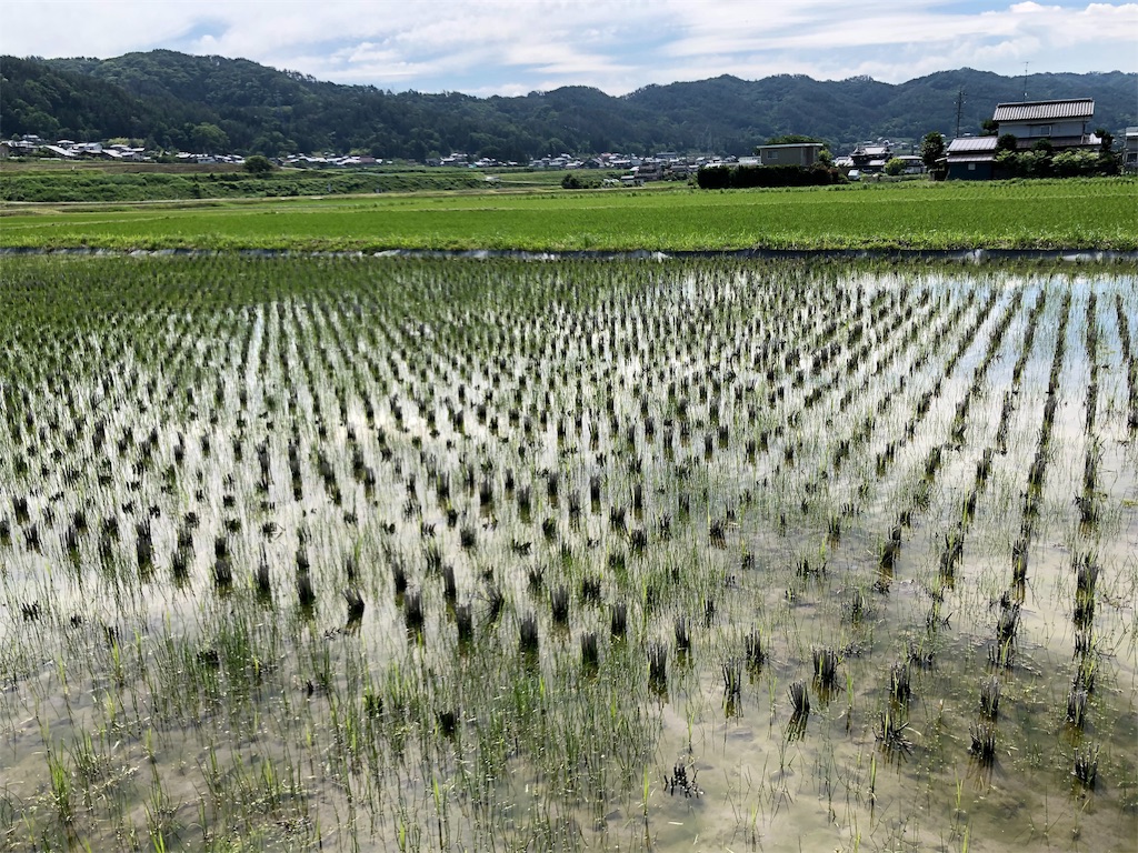 f:id:saitomanten:20190618203937j:image f:id:saitomanten:20190618203937j:image