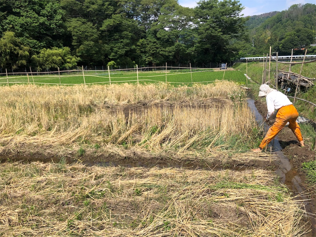 f:id:saitomanten:20190621150041j:image f:id:saitomanten:20190621150041j:image