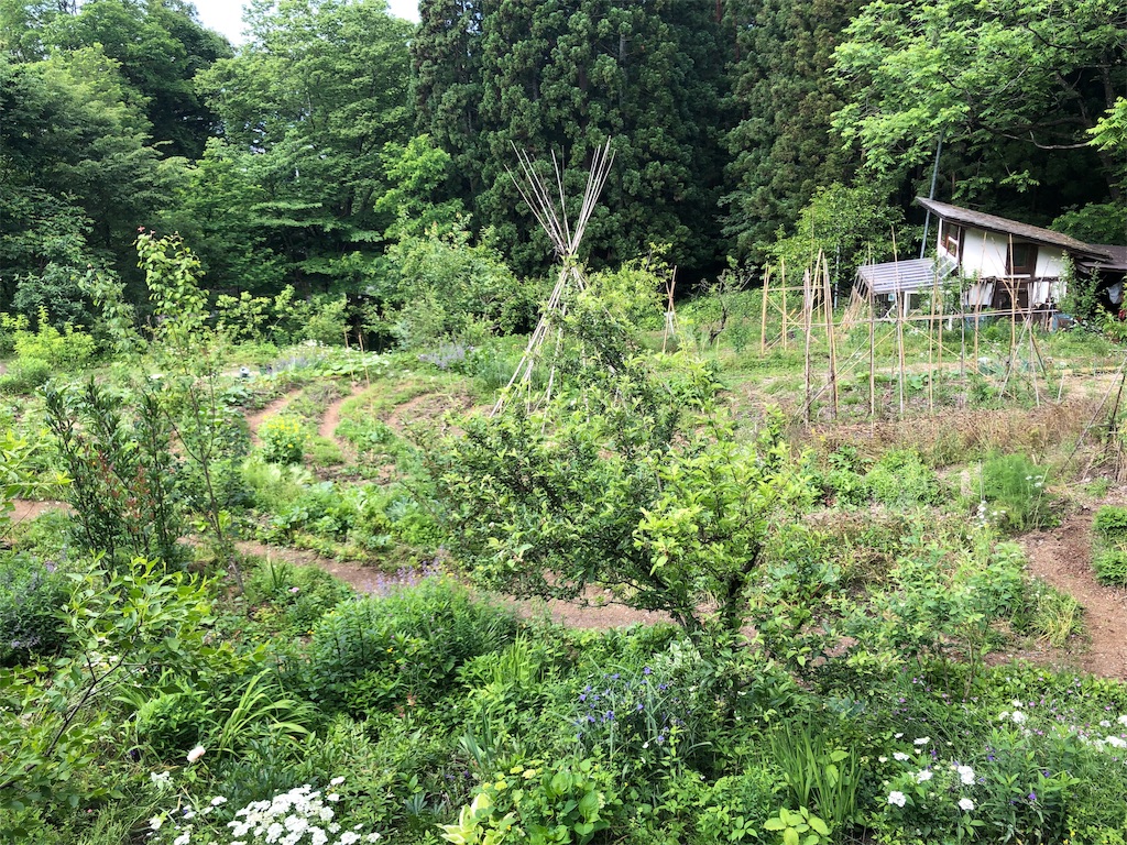 f:id:saitomanten:20190623111649j:image f:id:saitomanten:20190623111649j:image