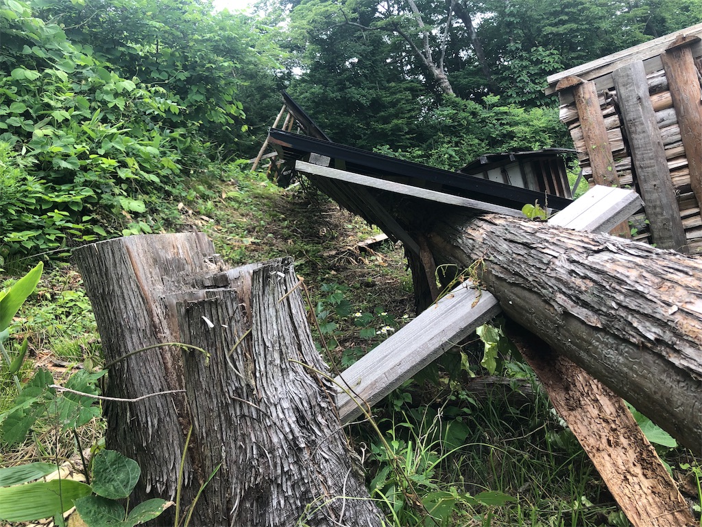 f:id:saitomanten:20190626125226j:image f:id:saitomanten:20190626125226j:image
