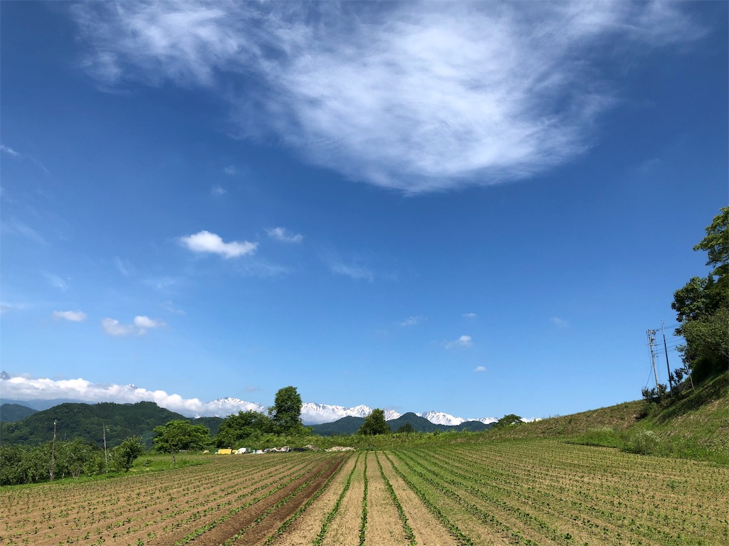 f:id:saitomanten:20190629092239j:image f:id:saitomanten:20190629092239j:image