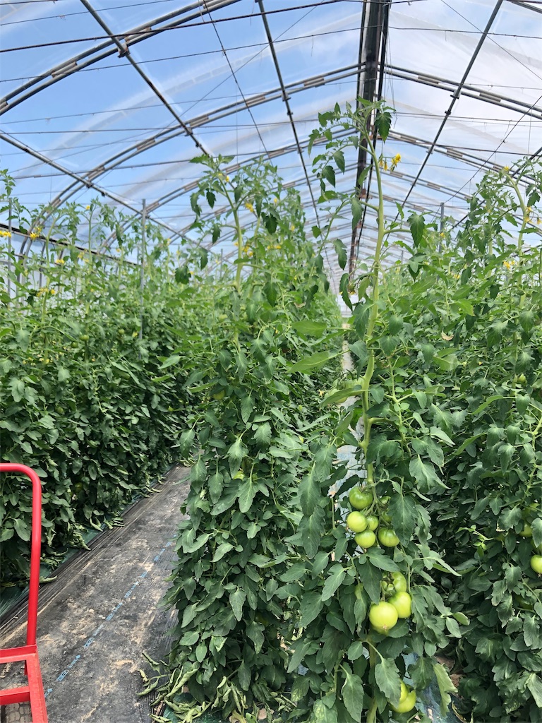 f:id:saitomanten:20190703230719j:image f:id:saitomanten:20190703230719j:image