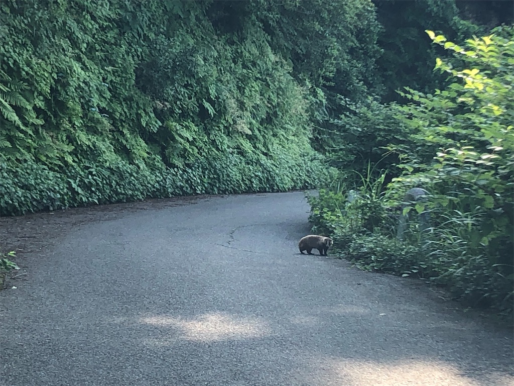 f:id:saitomanten:20190705183648j:image f:id:saitomanten:20190705183648j:image