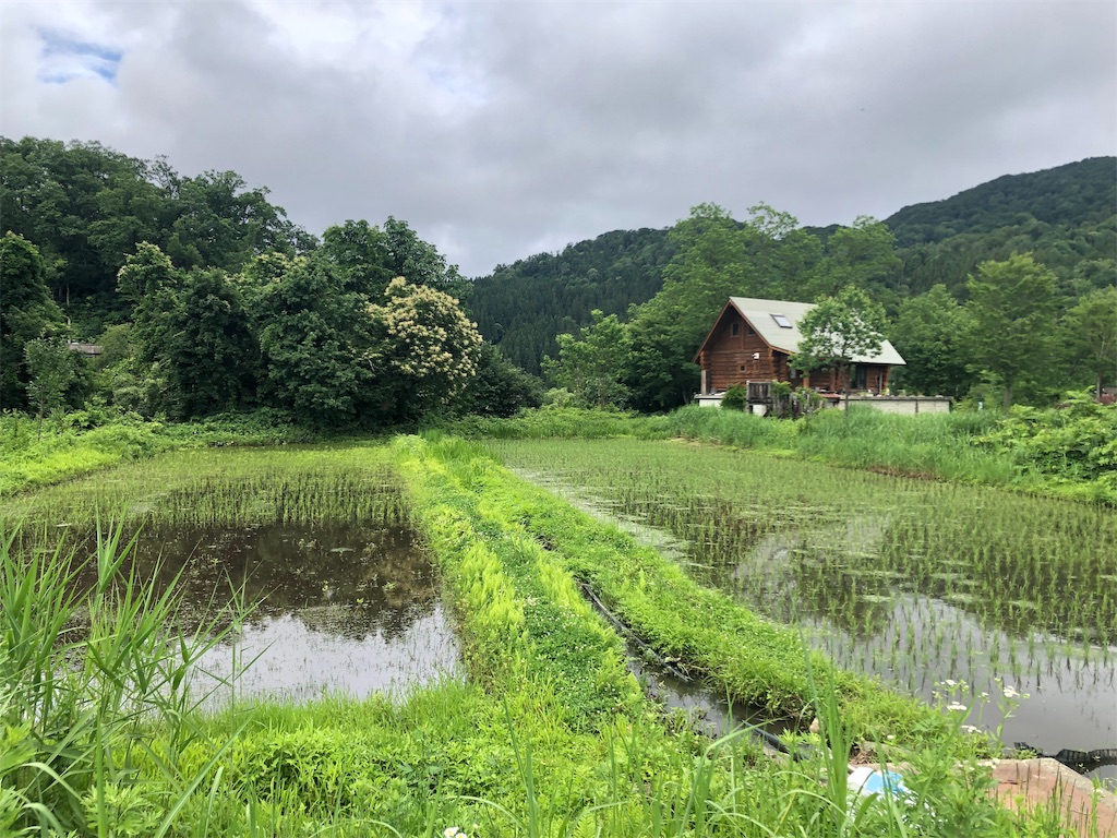 f:id:saitomanten:20190705185817j:image f:id:saitomanten:20190705185817j:image