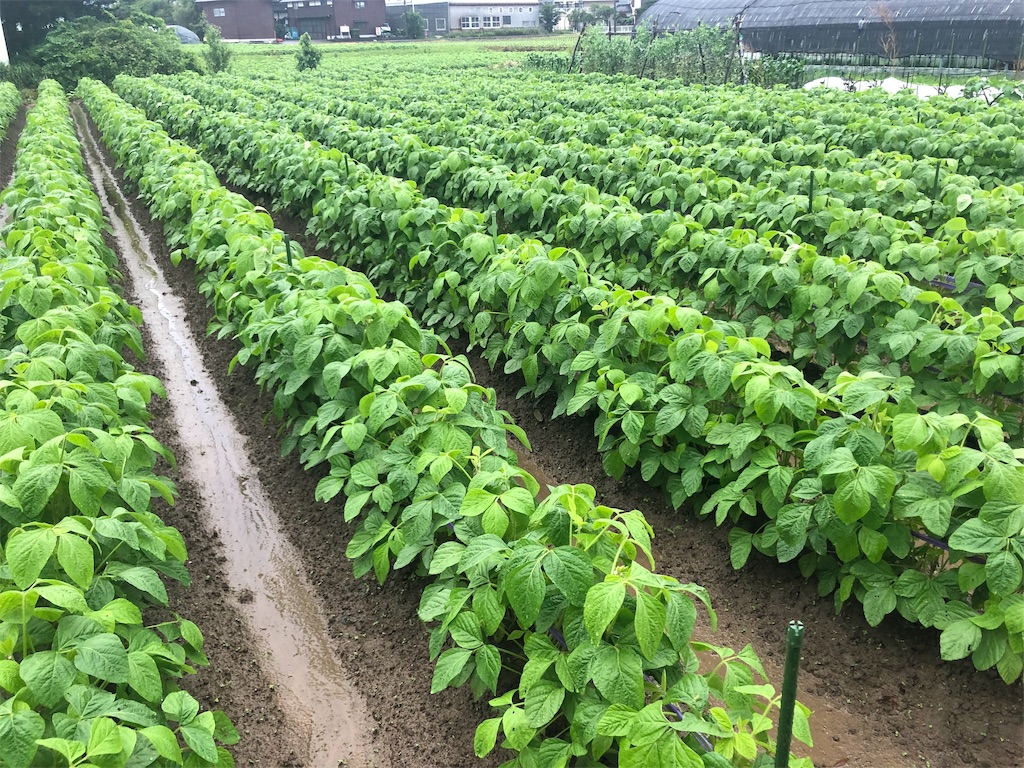 f:id:saitomanten:20190707101456j:image f:id:saitomanten:20190707101456j:image