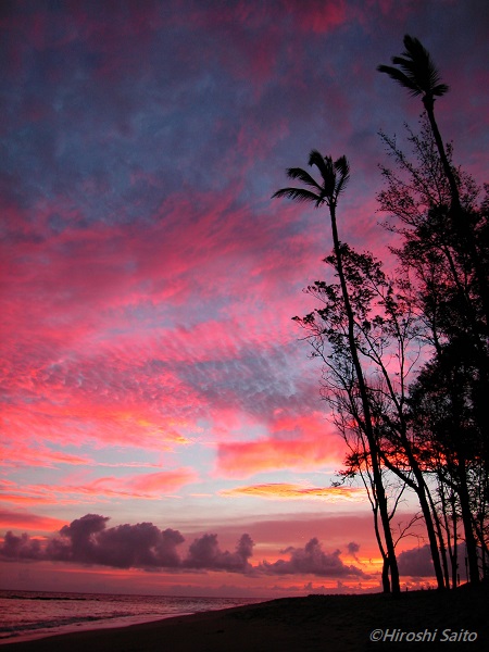 f:id:saitomc:20170804112105j:plain f:id:saitomc:20170804112105j:plain