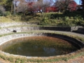 金山城跡　日ノ池