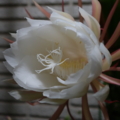 20140728205608