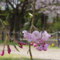 20160406101637