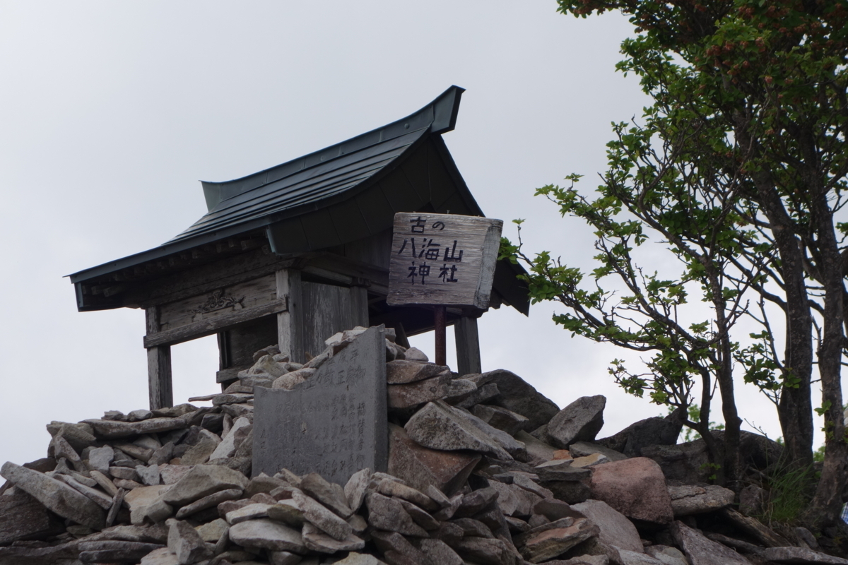 f:id:saitoy05:20180602115245j:plain f:id:saitoy05:20180602115245j:plain