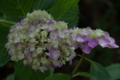 20180607115538