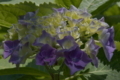 20180607121108